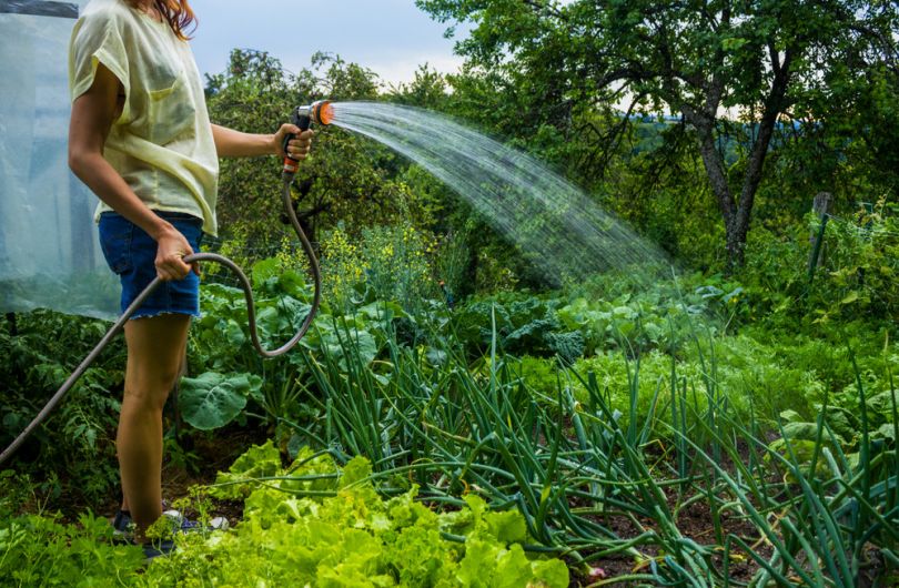 У Краматорську оштрафували майже 20 осіб, які використовували полив без приладів обліку