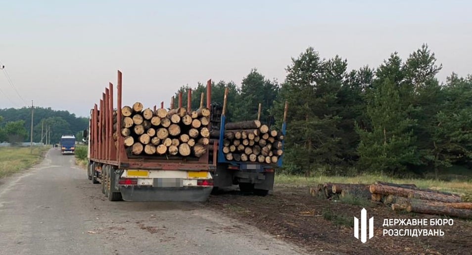 Ексчиновник лісгоспу на Луганщині організував схему збуту деревини на 2 млн гривень