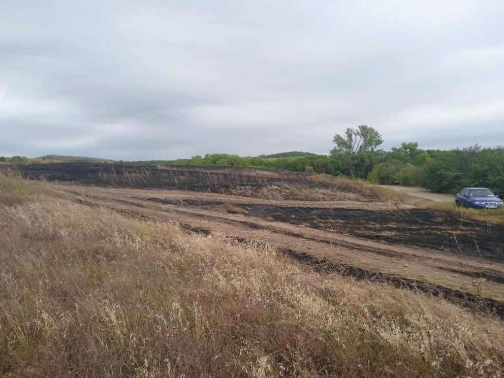 В ландшафтном парке «Донецкий Кряж» тушили масштабный пожар