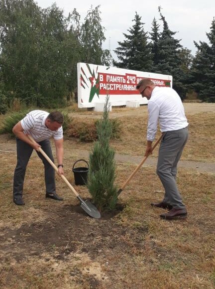 Осенью на Луганщине высадят "Румынский гай"