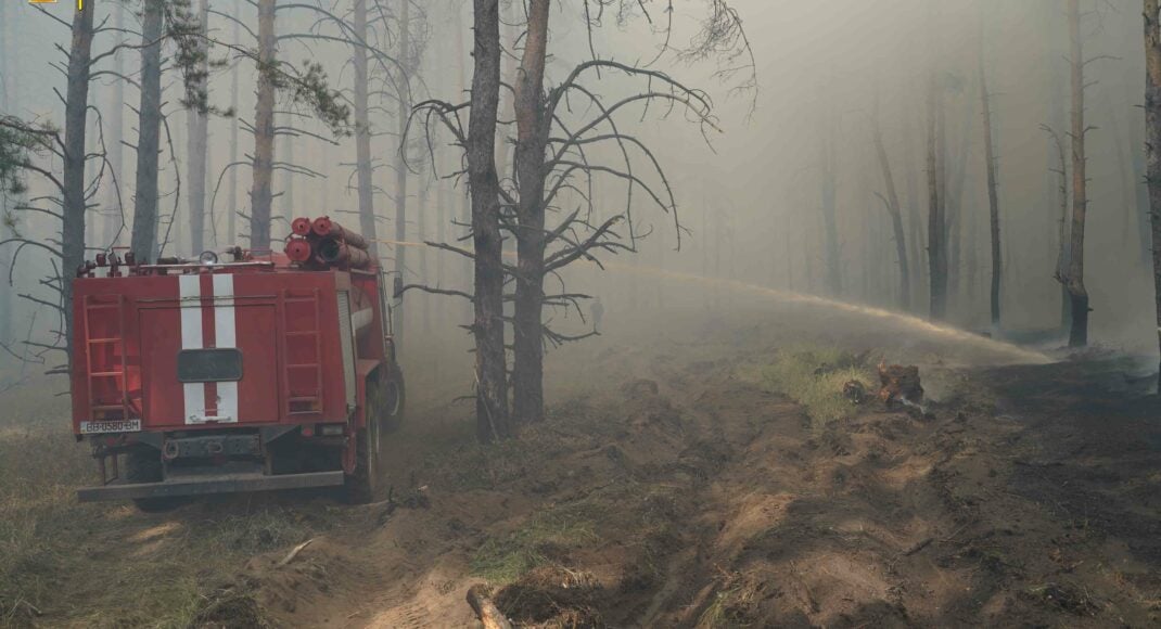 На Луганщині почалися лісові пожежі (фото)