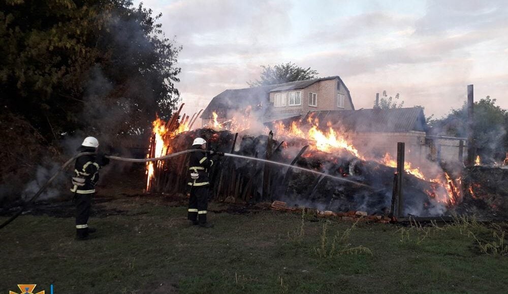 В Донецкой области за прошедшие сутки произошло 29 пожаров