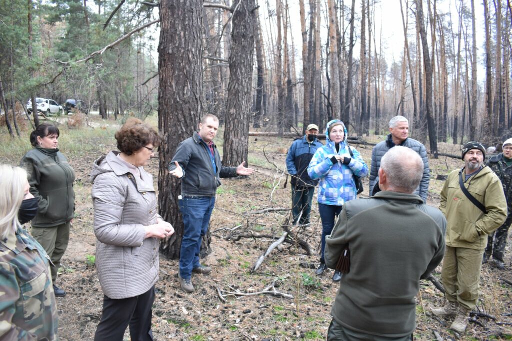 На Луганщине при поддержке USAID помогают восстанавливать леса после масштабных пожаров
