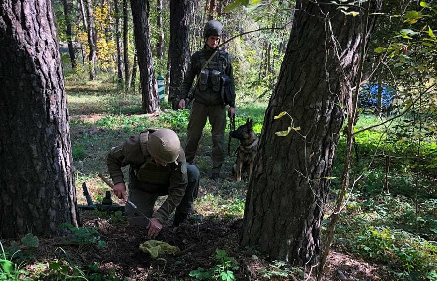 Под Святогорском на Донетчине нашли схрон с боеприпасами (фото)