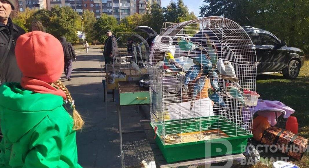 В Славянске прошла выставка экзотических птиц (фото)