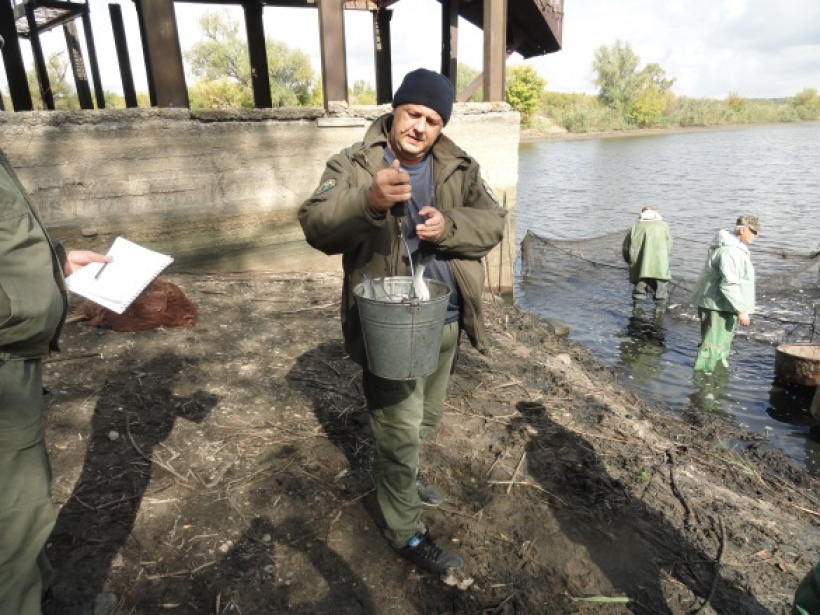 в водоемы Славянско ТЭС запустили рыбу