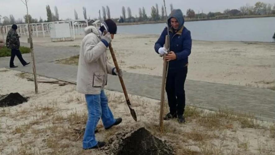 На Славкурорте сотрудники парка озеленяют пляж озера Вейсовое