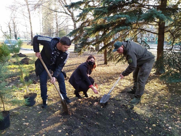 В рамках программы "Озеленение городов" в Авдеевке высадили саженцы молодых деревьев (фото)