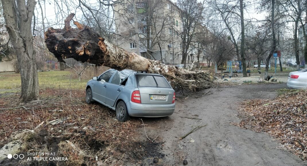 В Славянске и Краматорске из-за грозы ломало деревья, повреждены автомобили (фото)