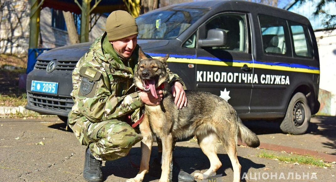 На Донеччині поліцейські кінологи зі службовими собаками склали іспити