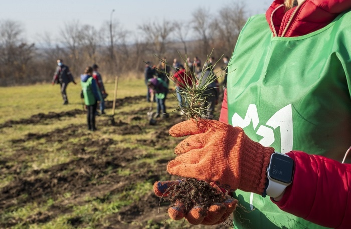 В Мариупольском парке создают питомник для деревьев