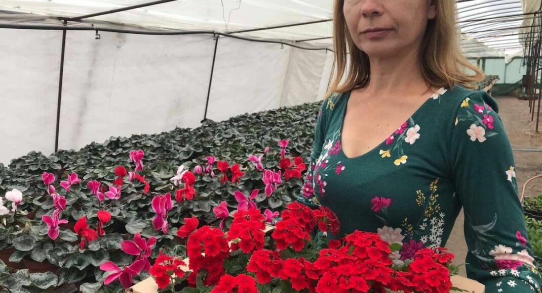 Жителі прифронтового села на Луганщині вирощують квіти в теплицях