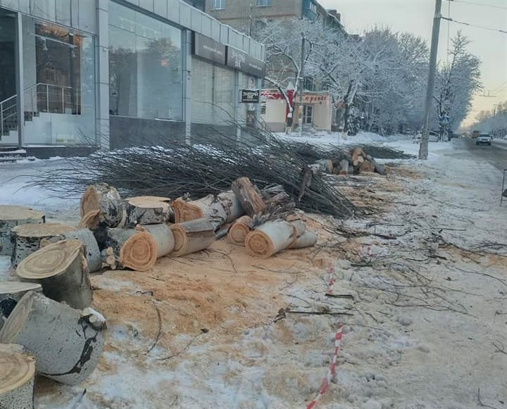 В центре Краматорска коммунальщики удалили аварийные деревья