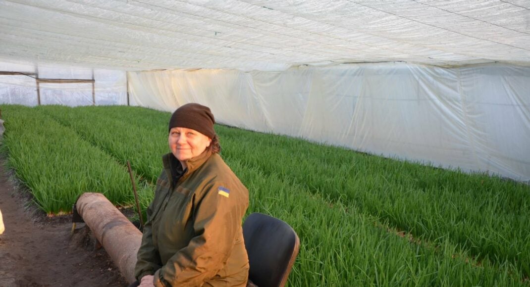 Фермерка с прифронтовой Луганщины выращивает зелень в теплицах