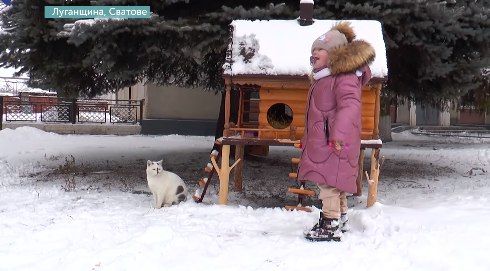 У Сватовому на Луганщині встановили будиночки для вуличних котів (відео)