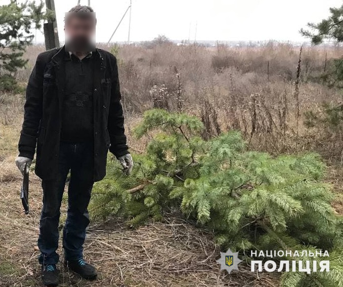 На Донетчине на территории нацпарка задержали лесоруба с "новогодними" елями