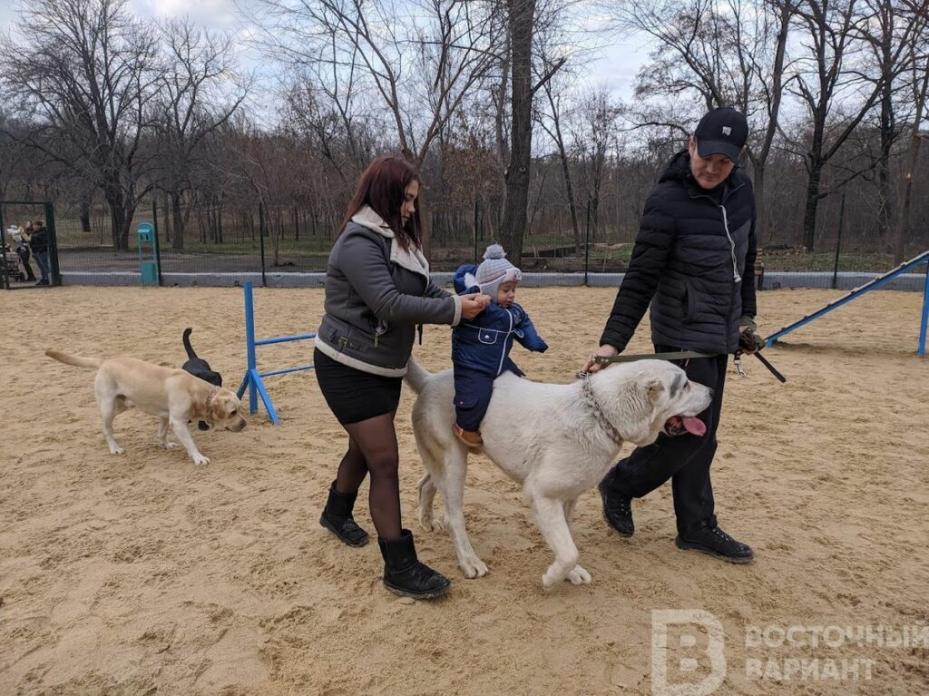 мариуполь собаки