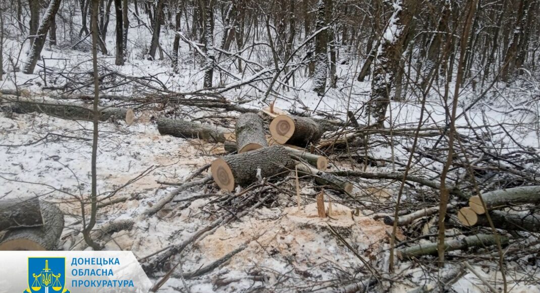 Факт незаконної вирубки лісу на 1,6 млн грн виявлено під Краматорськом