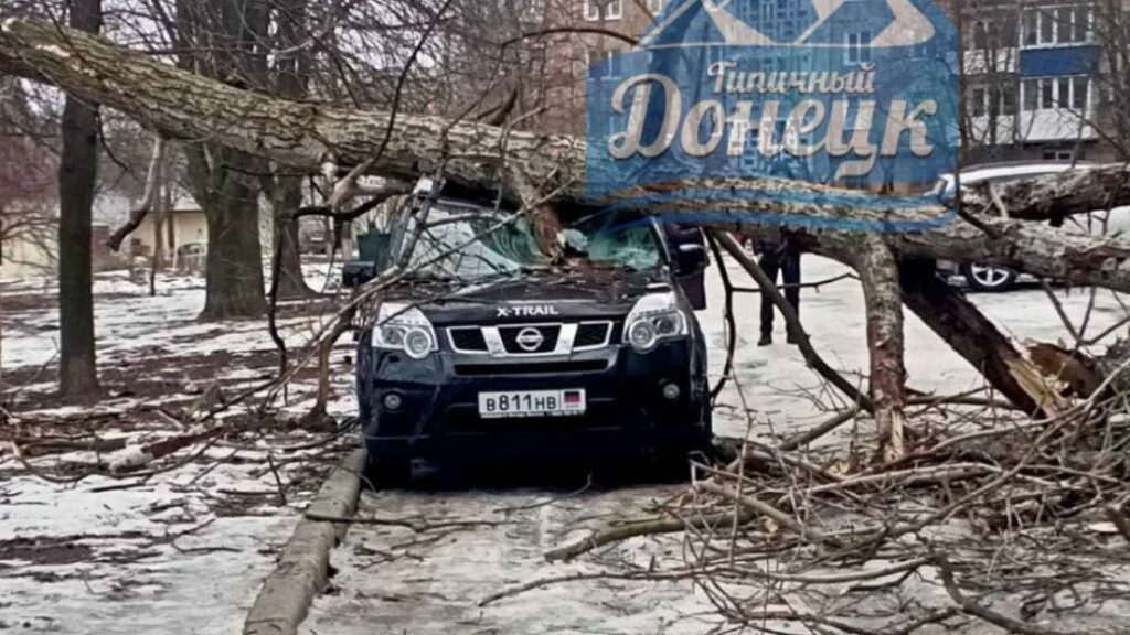 В оккупированном Донецке дерево упало на автомобили (фото)