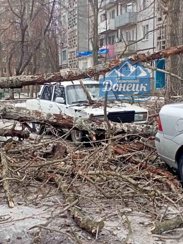 В оккупированном Донецке дерево упало на автомобили