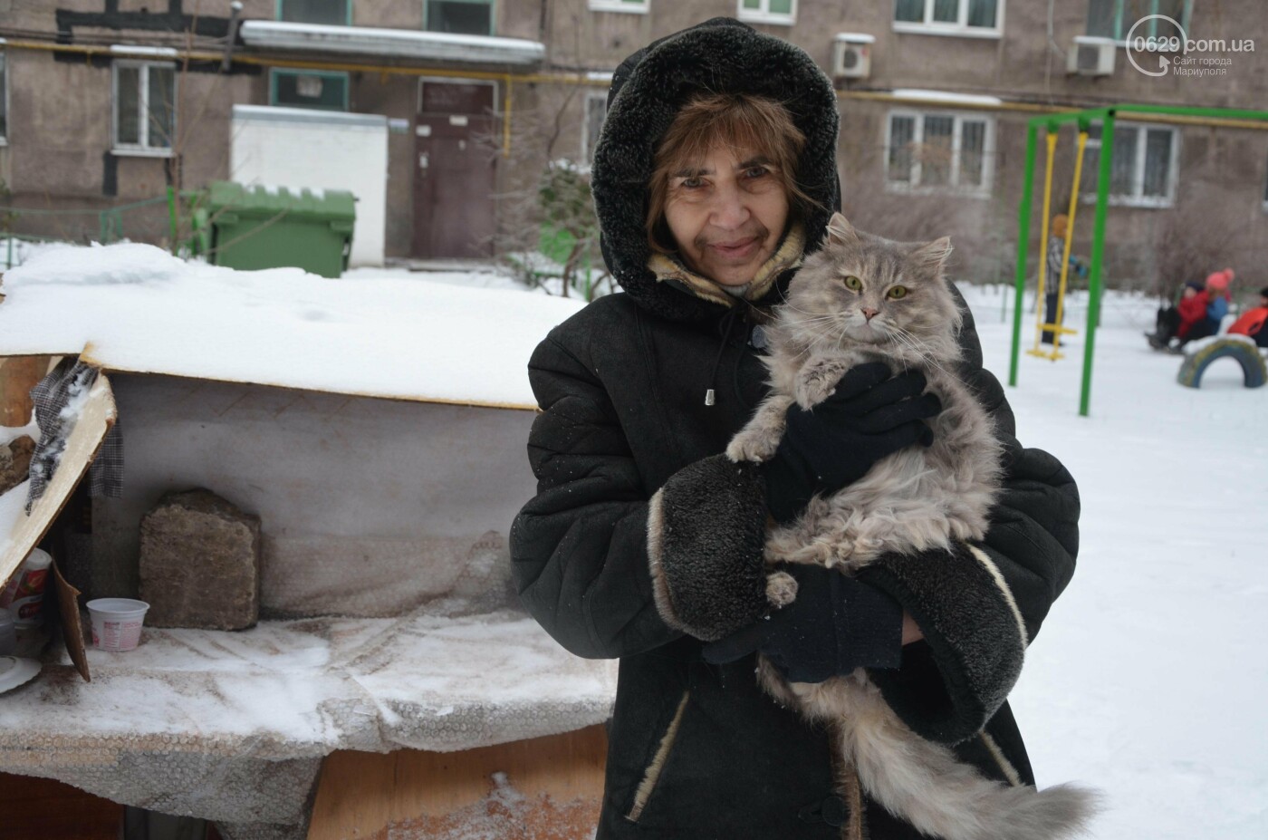 Жители Мариуполя построили домик для бездомных котов из теннисного стола  (фото) – Східний Варіант