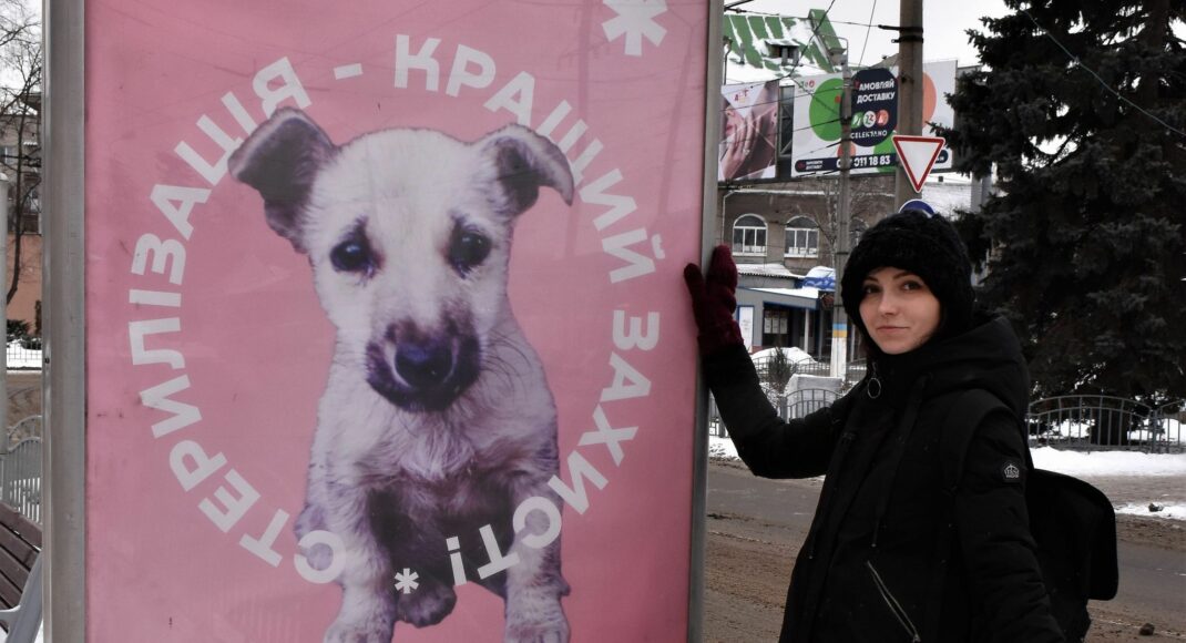 "Они наша ответственность": в Славянске появились яркие ситилайты на остановках общественного транспорта