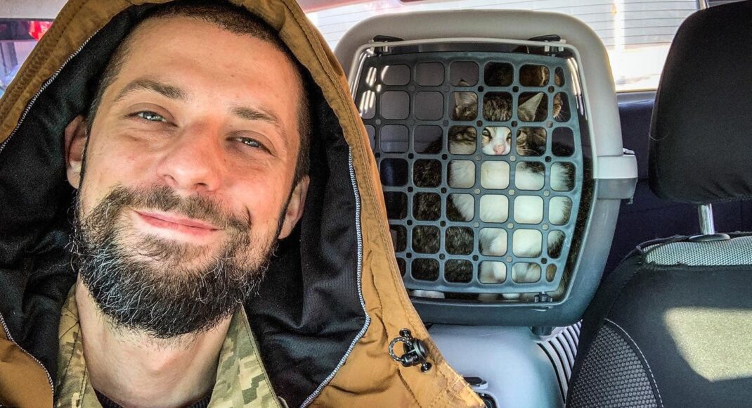 Волонтери врятували 9 бездомних котів із зони ООС і привезли до Києва