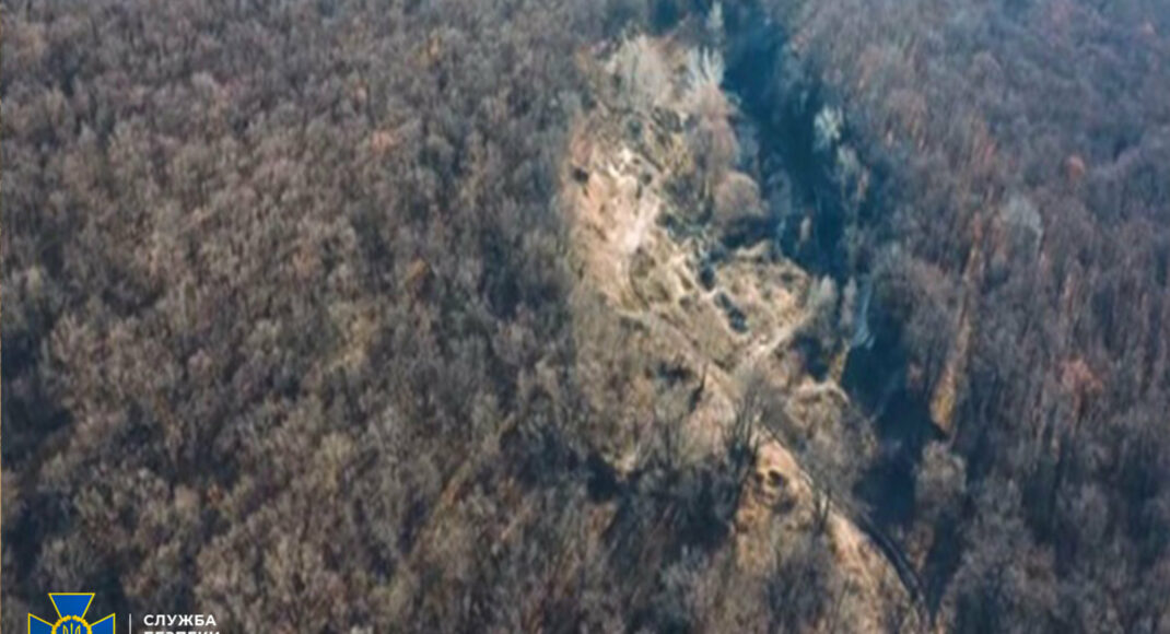 В Славянске директор лесхоза допустил незаконную вырубку леса на полмиллиона гривень