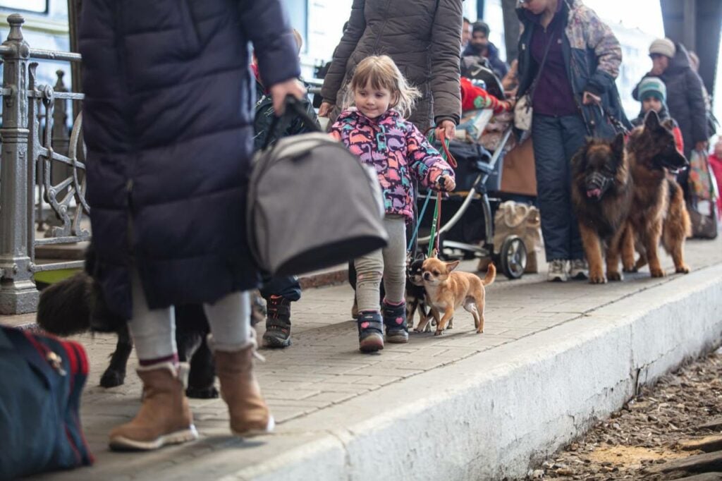 беженцы из Мариуполя во Львове