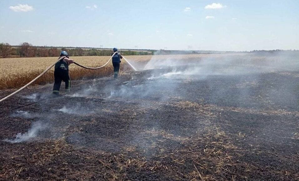 На Донетчине в результате обстрела загорелась пшеница на площади 4,9 га, - ГСЧС