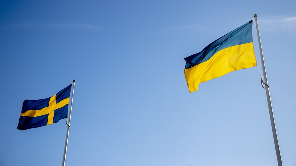 Швеция предоставит Украине $50 млн на оборону
