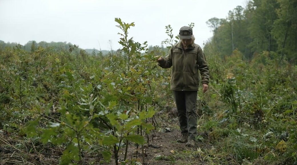 Переселенка из Донетчины почти 2 года создает леса в Винницкой области