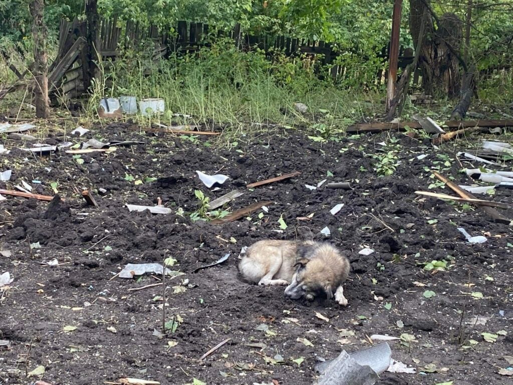 знищений хоспіс в Часовому Яру