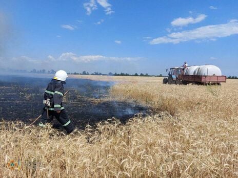 На Донеччині окупанти завдали збитків 154 агропромисловим комплексам, та попри все це аграрії зібрали врожай