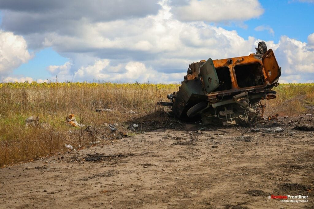 У селі Долина на Донеччині після нашестя росіян не залишилося жодного вцілілого будинку