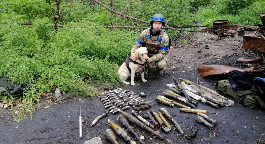 У Покровську піротехніки знешкодили 177 вибухонебезпечних предметів