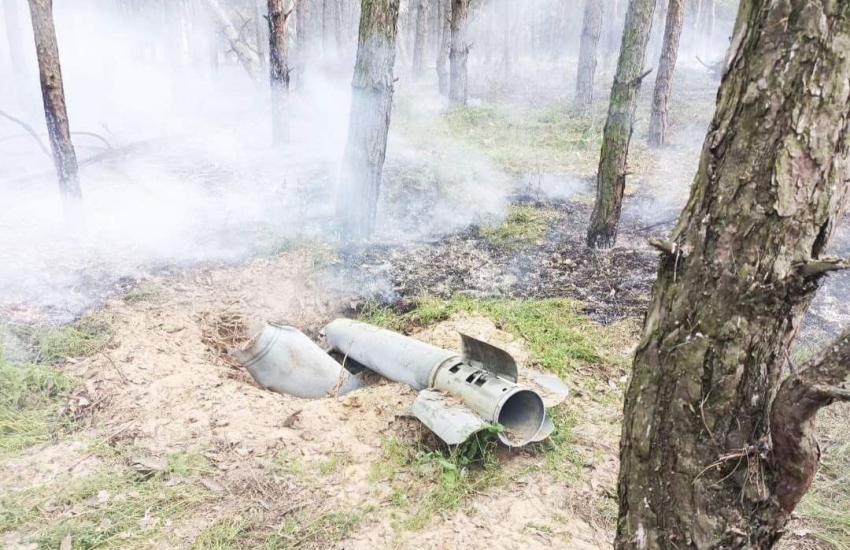 На Донеччині через бої згоріли понад 15 тисяч гектарів лісу