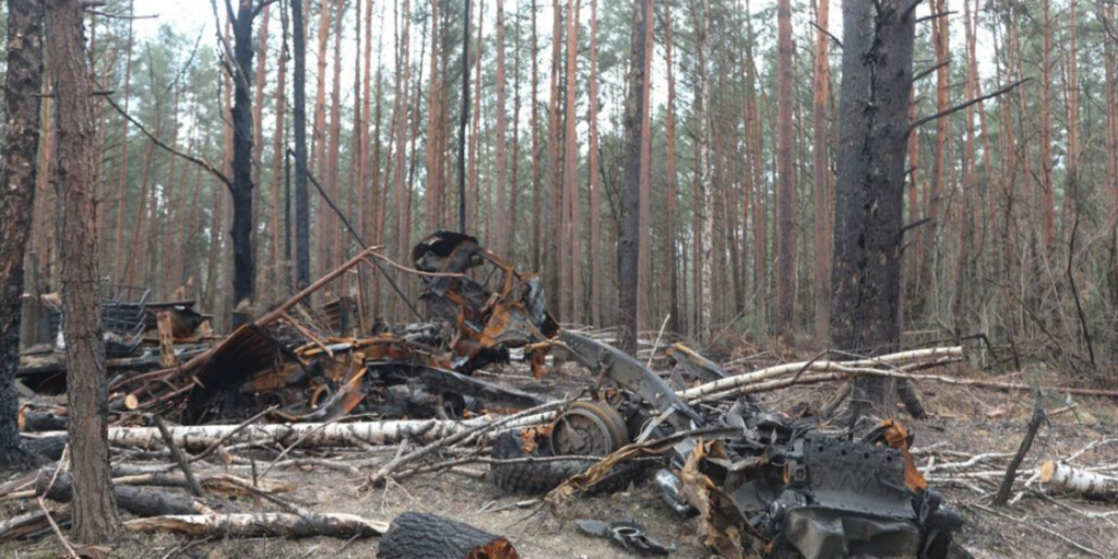 На Донеччині через бої згоріли понад 15 тисяч гектарів лісу