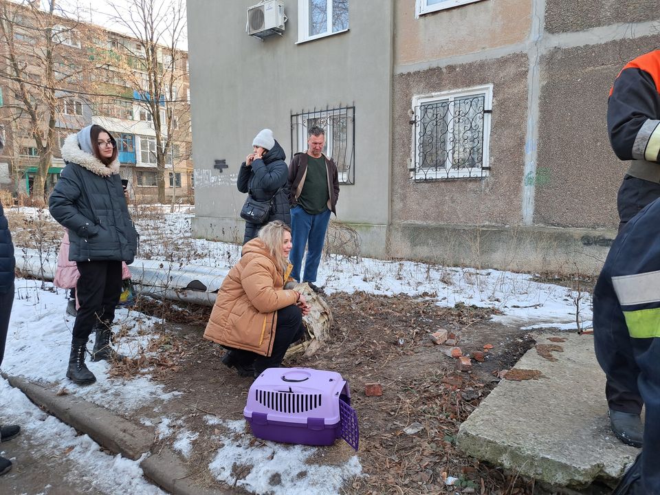 у Костянтинівці врятували єнота