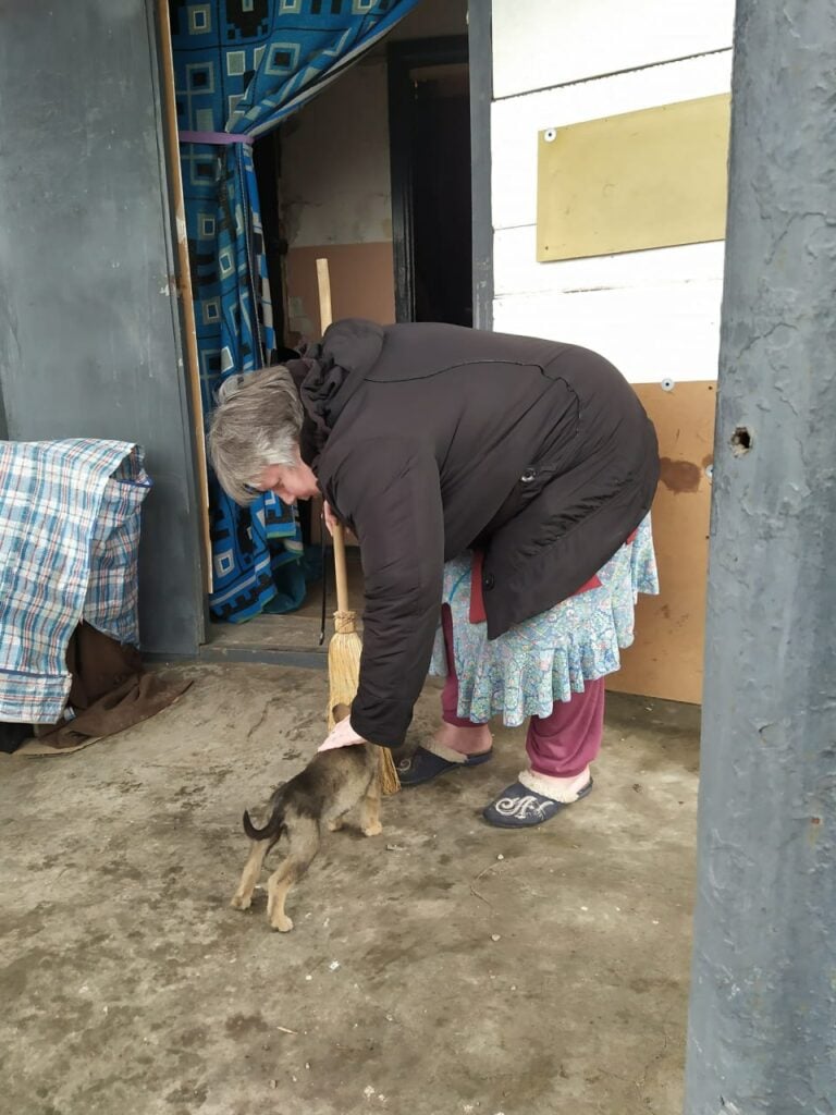 поліція Донеччини рятує тварин з-під обстрілів