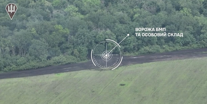 Десантники вместе с артиллеристами уничтожили на Луганщине очередную боевую машину пехоты россиян: видео