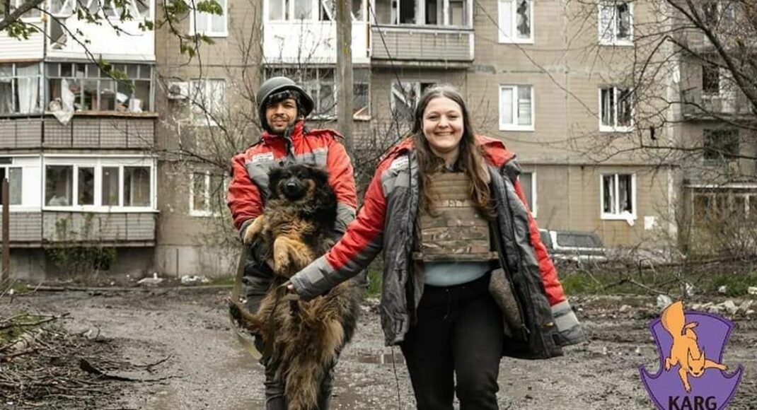 "Спасено более 400 пушистиков": как киевские волонтеры эвакуируют животных с востока Украины