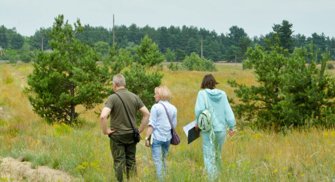 У Донецькій області навесні висадили майже 4 га лісу