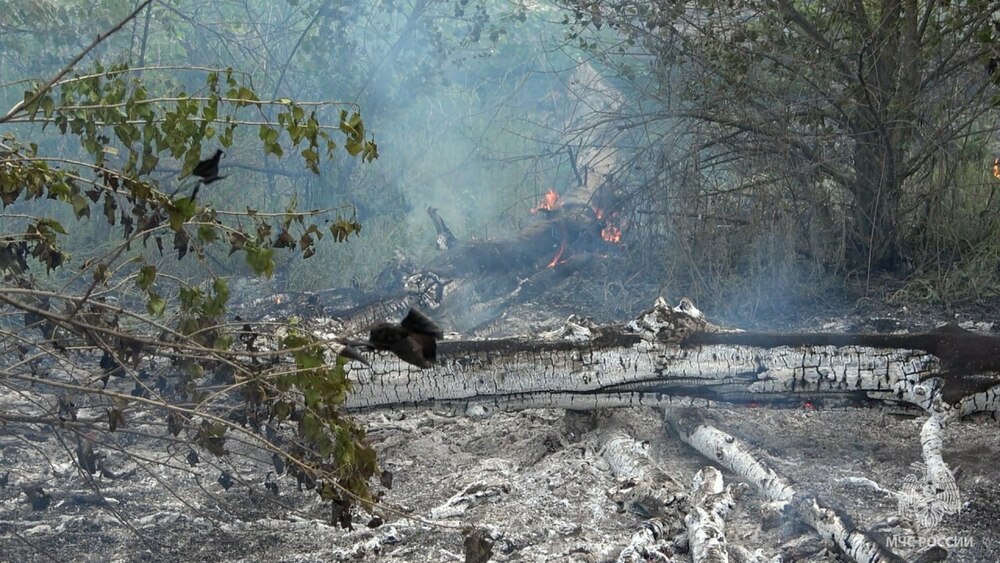 пожежа сухостою на окупованій Луганщині