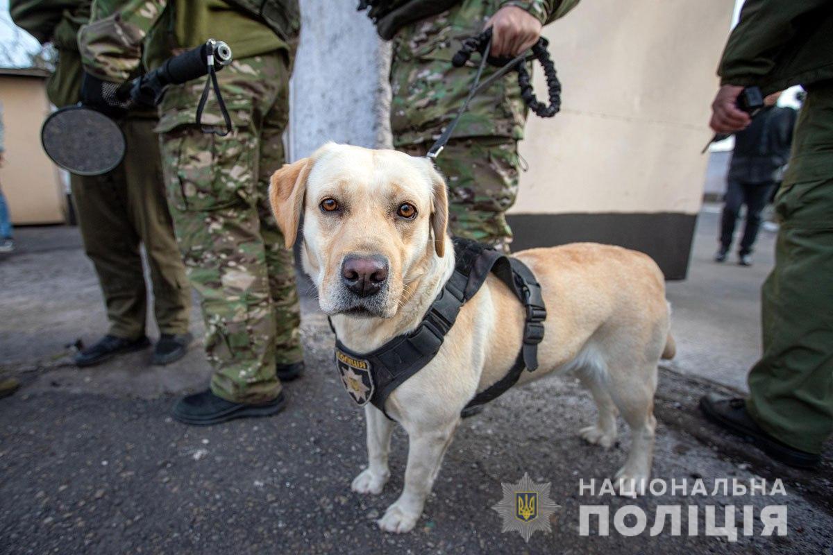 5 років роботи в поліції Донеччини: службові собаки допомогли розкрити понад 1700 злочинів