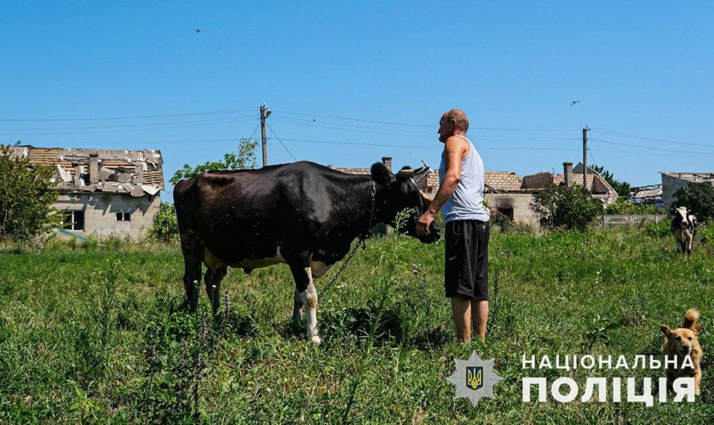 Поліцейські Донеччини допомогли організувати прийом лікарів за кілометр від фронту біля Вугледара: відео, фото