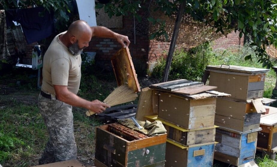 Під Бахмутом медики облаштували 12 нових саморобних вуликів: фото