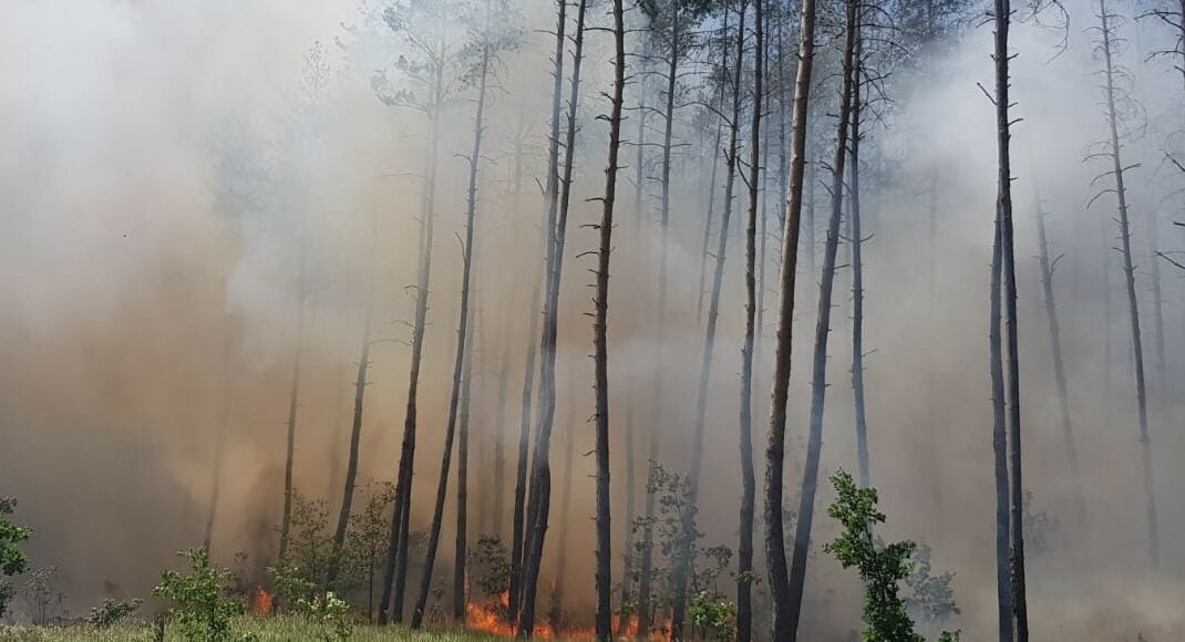 Від початку повномасштабного вторгнення росія вчинила 2500 екологічних злочинів