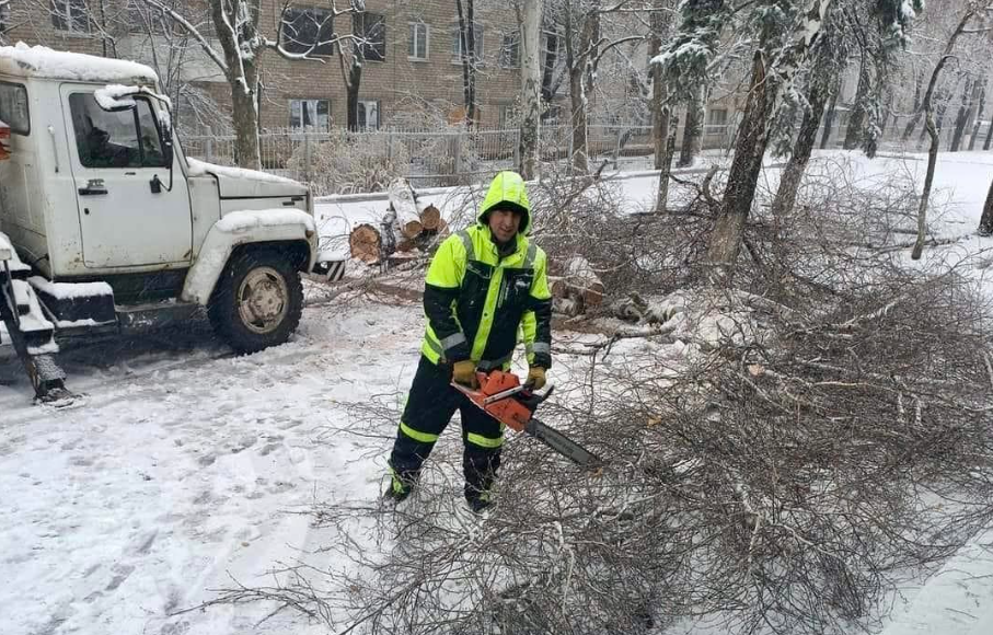 Сніг випробовує на міцність Краматорськ: є падіння аварійних дерев, комунальники активно розчищають місто (фоторепортаж)