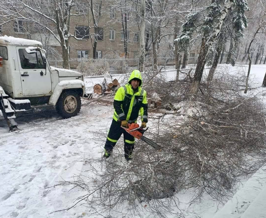 У Краматорську снігопади спричинили падіння аварійних дерев (фото)
